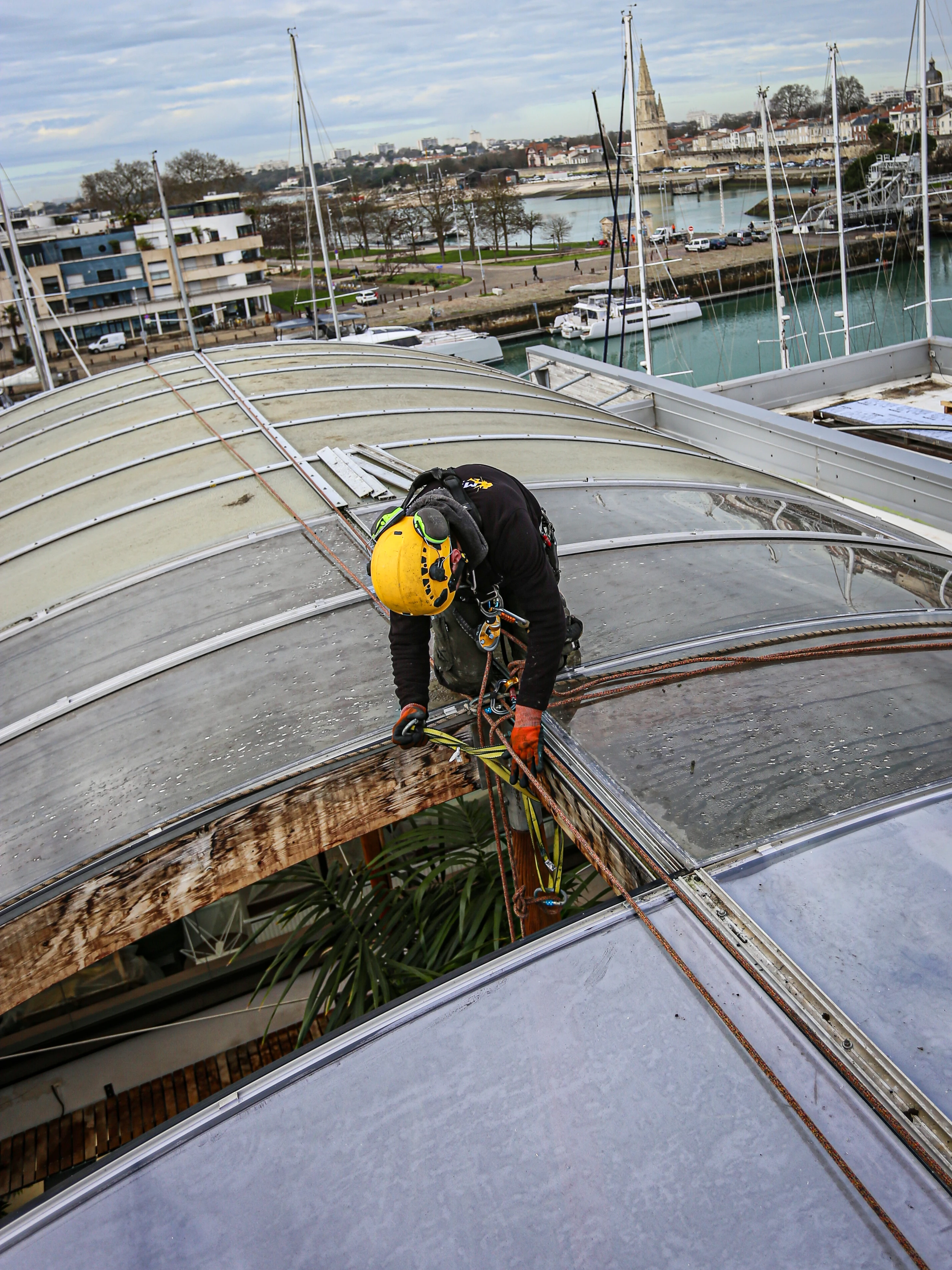 Intervention de cordistes MS Access pour même pas peur des pirahnas chez ERALU à La Rochelle (bâtiment) – 1